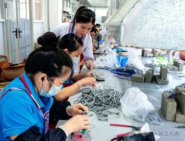 以創業織鄉夢 以履職暖民心——侗鄉女兒楊除英的雙重擔當